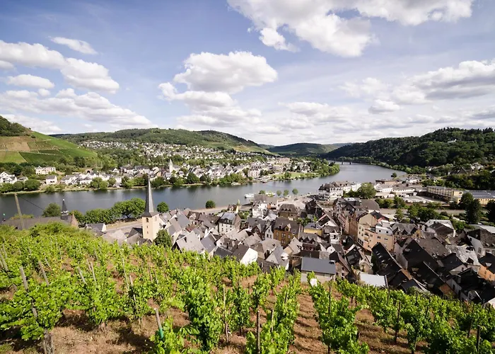 Moselblick * Alf